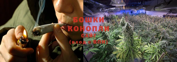 ГАЛЛЮЦИНОГЕННЫЕ ГРИБЫ Баксан